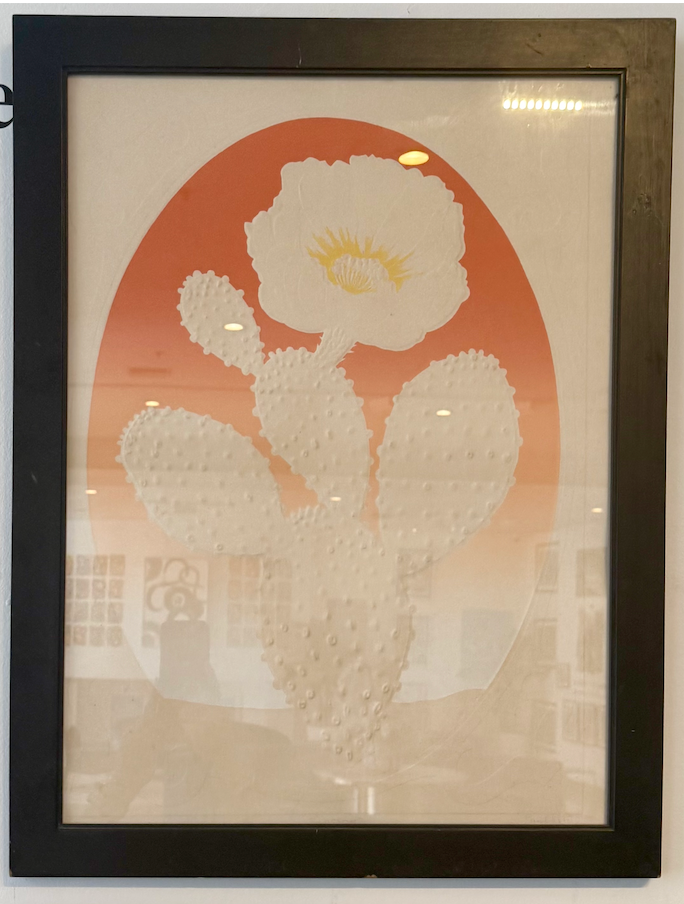 Bloom
